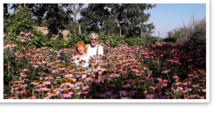 Mauro Iob e Rita Campanelli