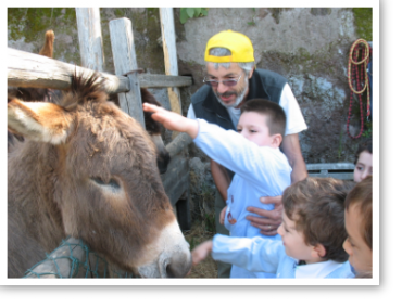 Corsi per bambini con l'asino