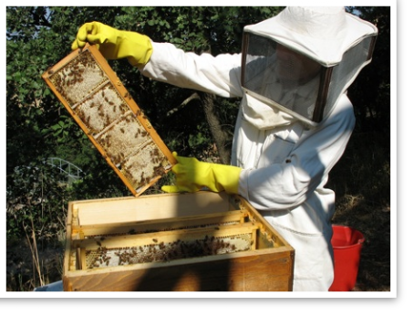 Addetto con maschera api - Agriturismo Iob